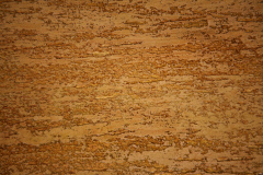 TEXTURE (17)